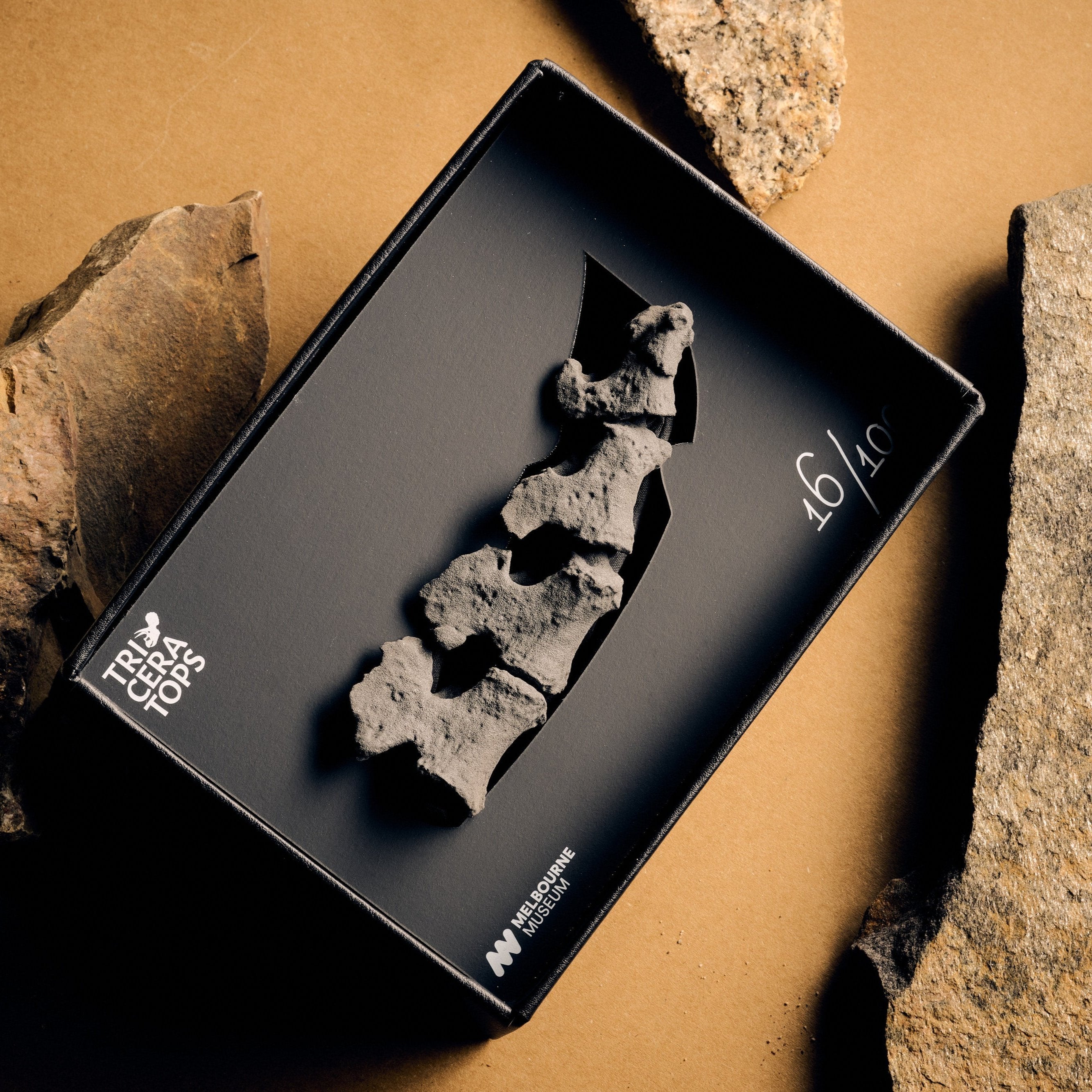 Triceratopstail_2024_09_18MelbourneMuseumShop35233_BW_pic_EugeneHyland_2.jpg