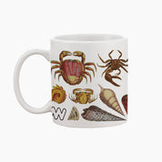 Museums Victoria Rare Book Mugs