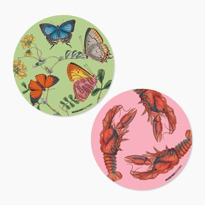 Museums Victoria Rare Book Single Coasters