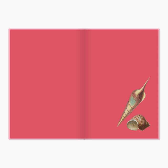 Museums Victoria Rare Book Hardcover Notebook