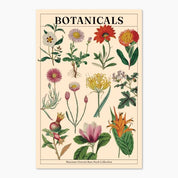 Museums Victoria Rare Books Postcards