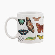 Museums Victoria Rare Book Mugs