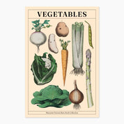 Museums Victoria Rare Books Postcards