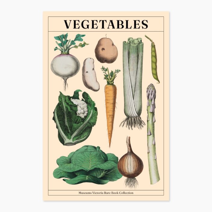 Museums Victoria Rare Books Postcards