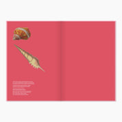 Museums Victoria Rare Book Hardcover Notebook