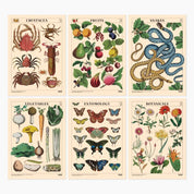 Museum Victoria Rare Book Posters