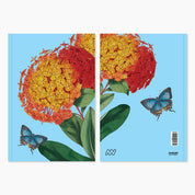 Museums Victoria Rare Book Hardcover Notebook