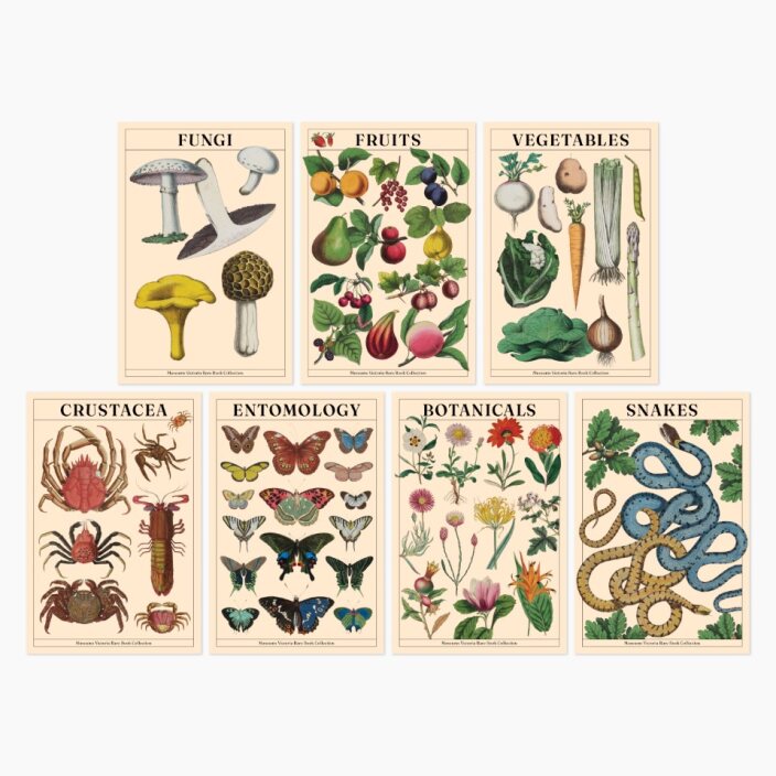 Museums Victoria Rare Books Postcards