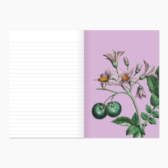 Museums Victoria Rare Book Softcover Notebook