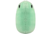 Flu Microbe Plush
