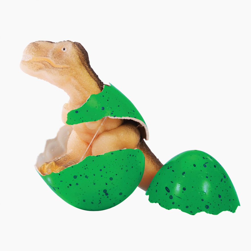 Hatching Dinosaur Egg