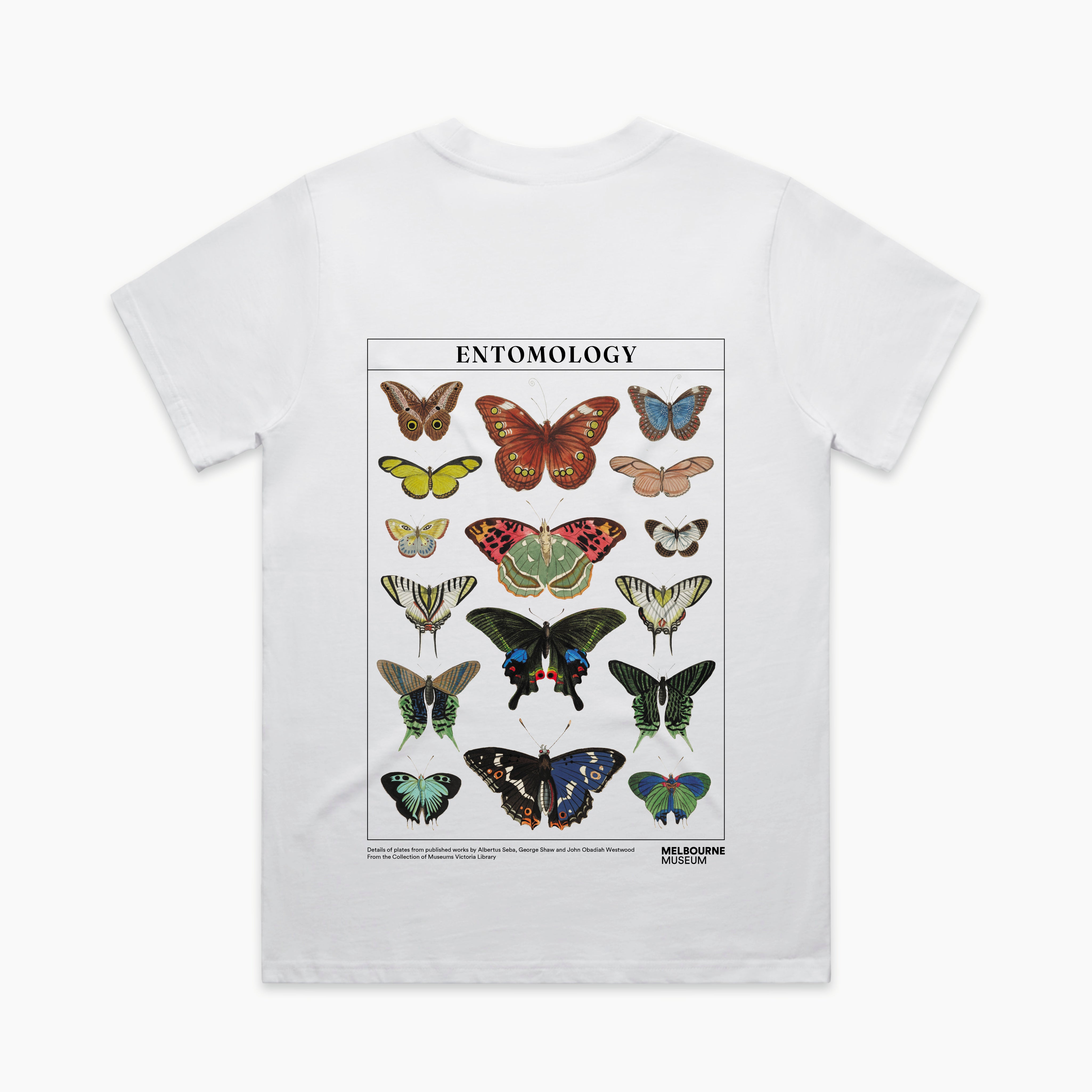 Entomology Adults Tee