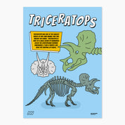 A4 Dino Facts Poster Pack