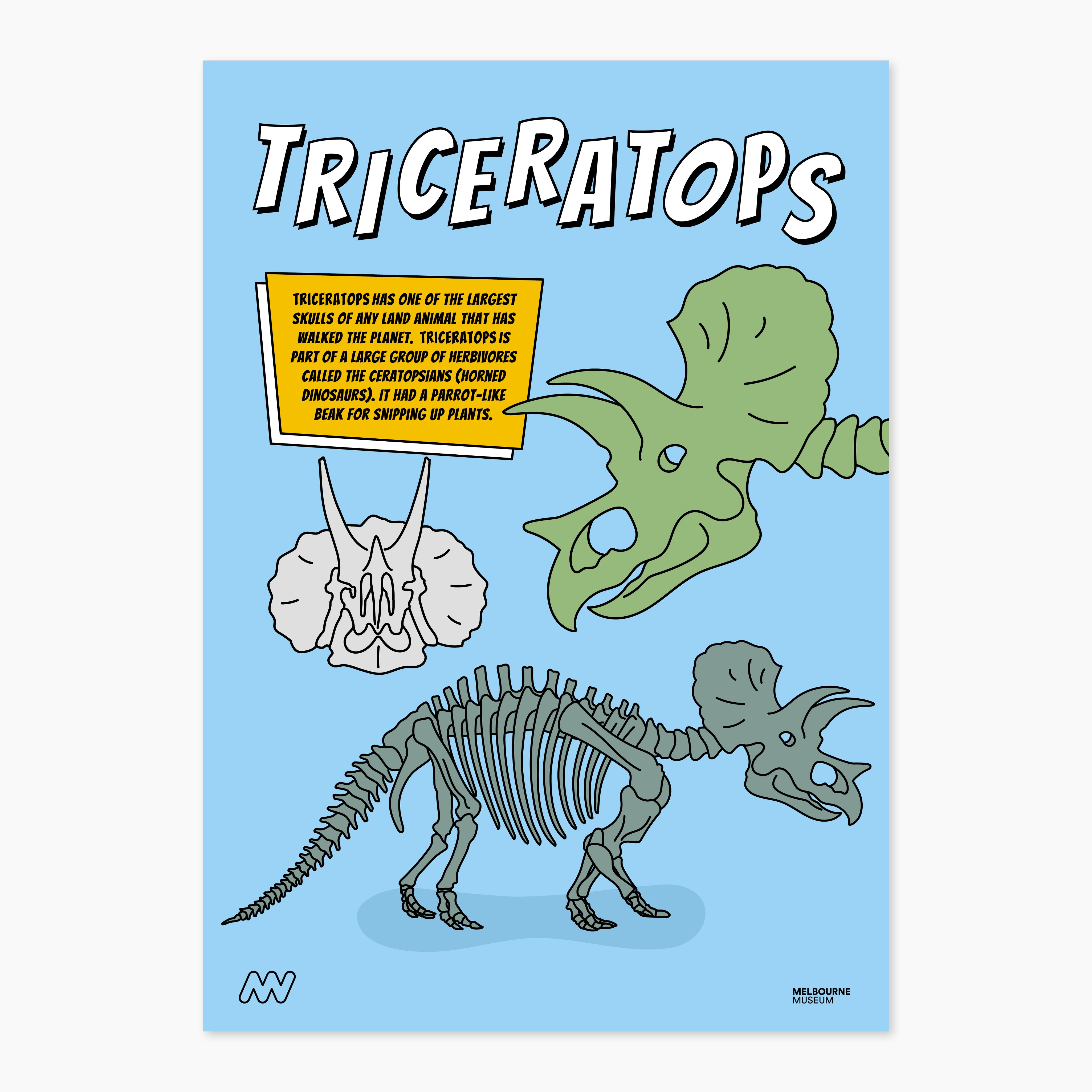 A4 Dino Facts Poster Pack