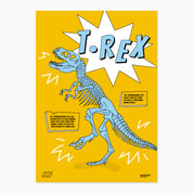 A4 Dino Facts Poster Pack