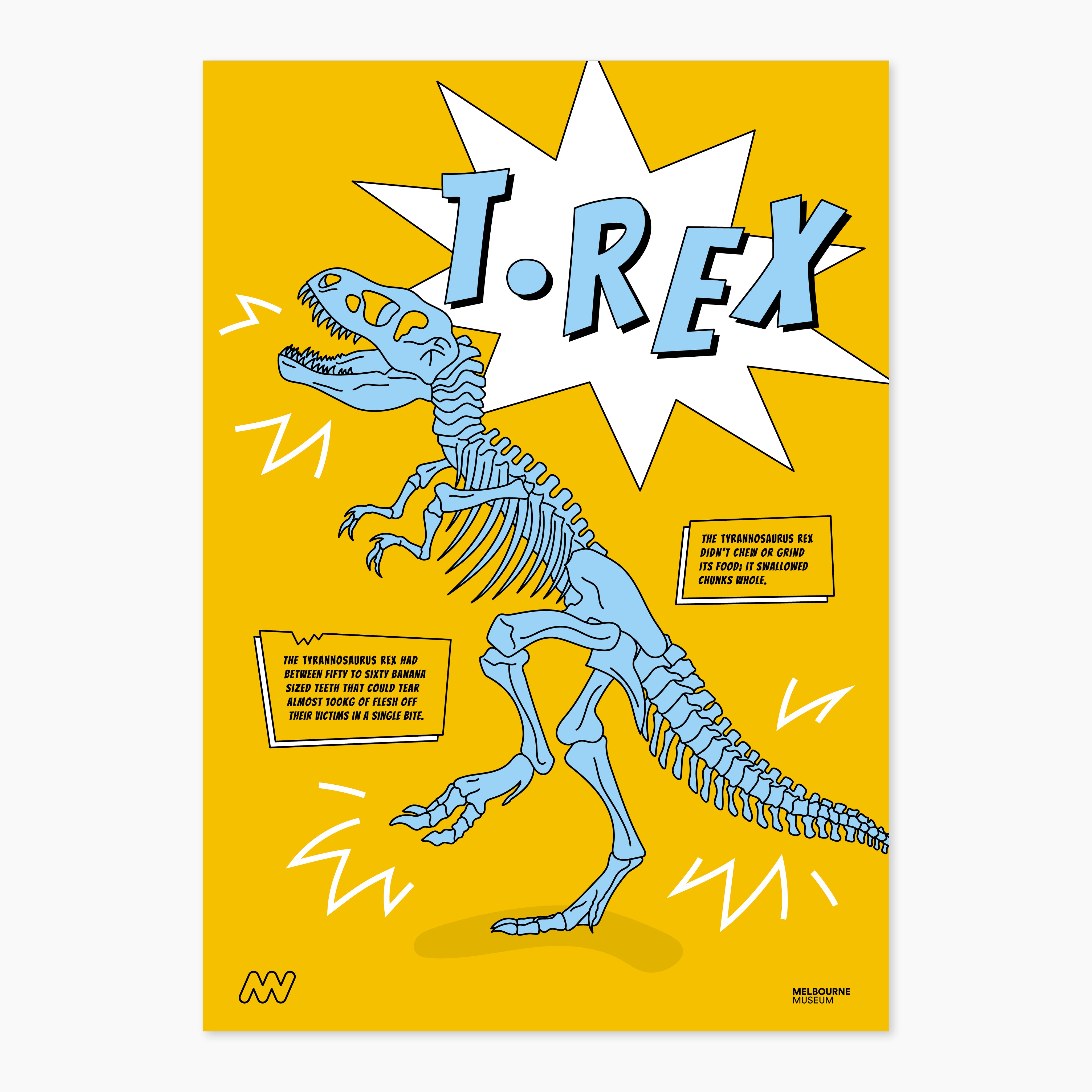 A4 Dino Facts Poster Pack