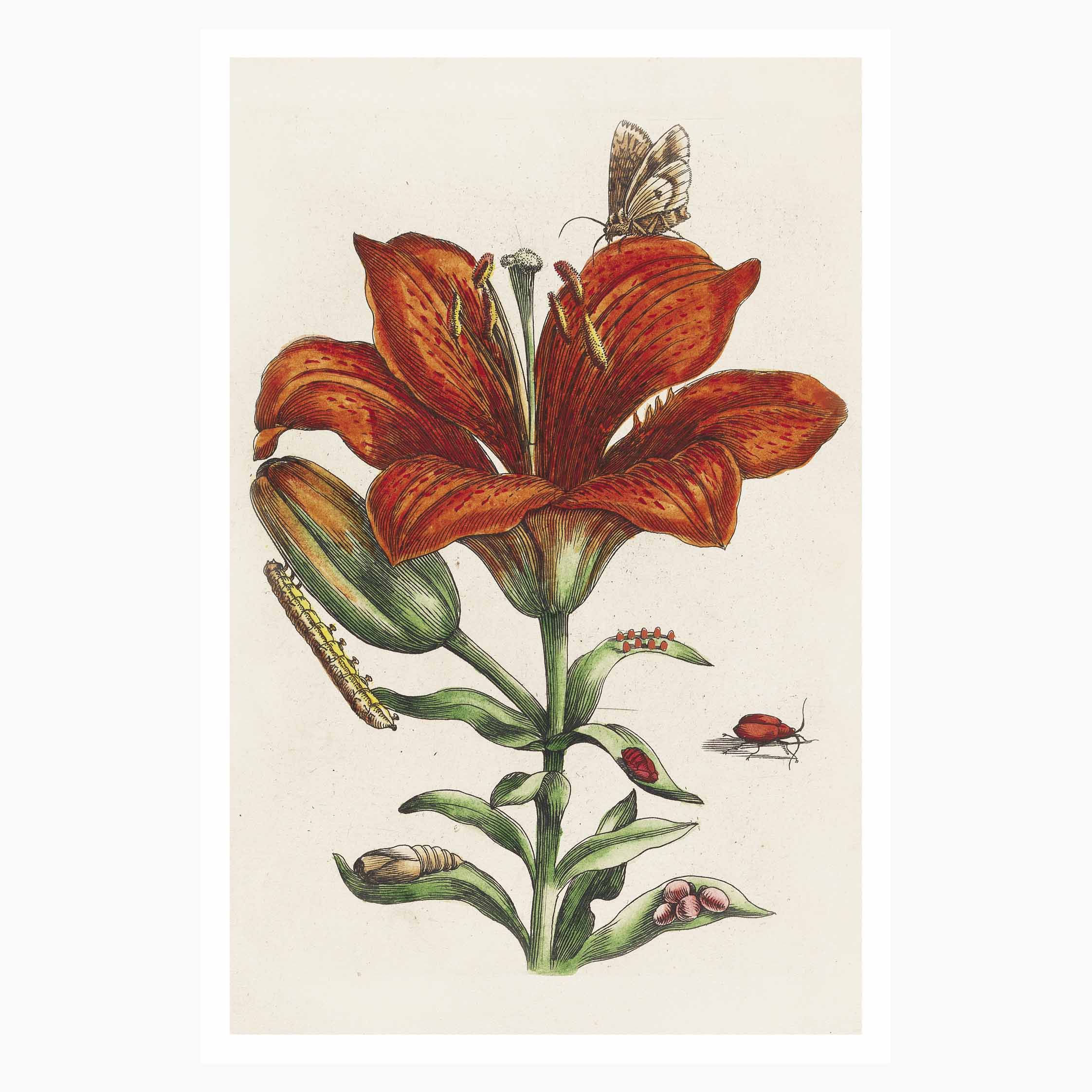 389_MM199839_TreasuresMerchPostcard120x180_AMEND02_FA3.jpg