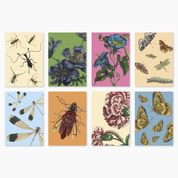 Melbourne Museum Greeting Card