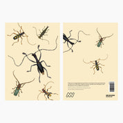 Melbourne Museum Greeting Card