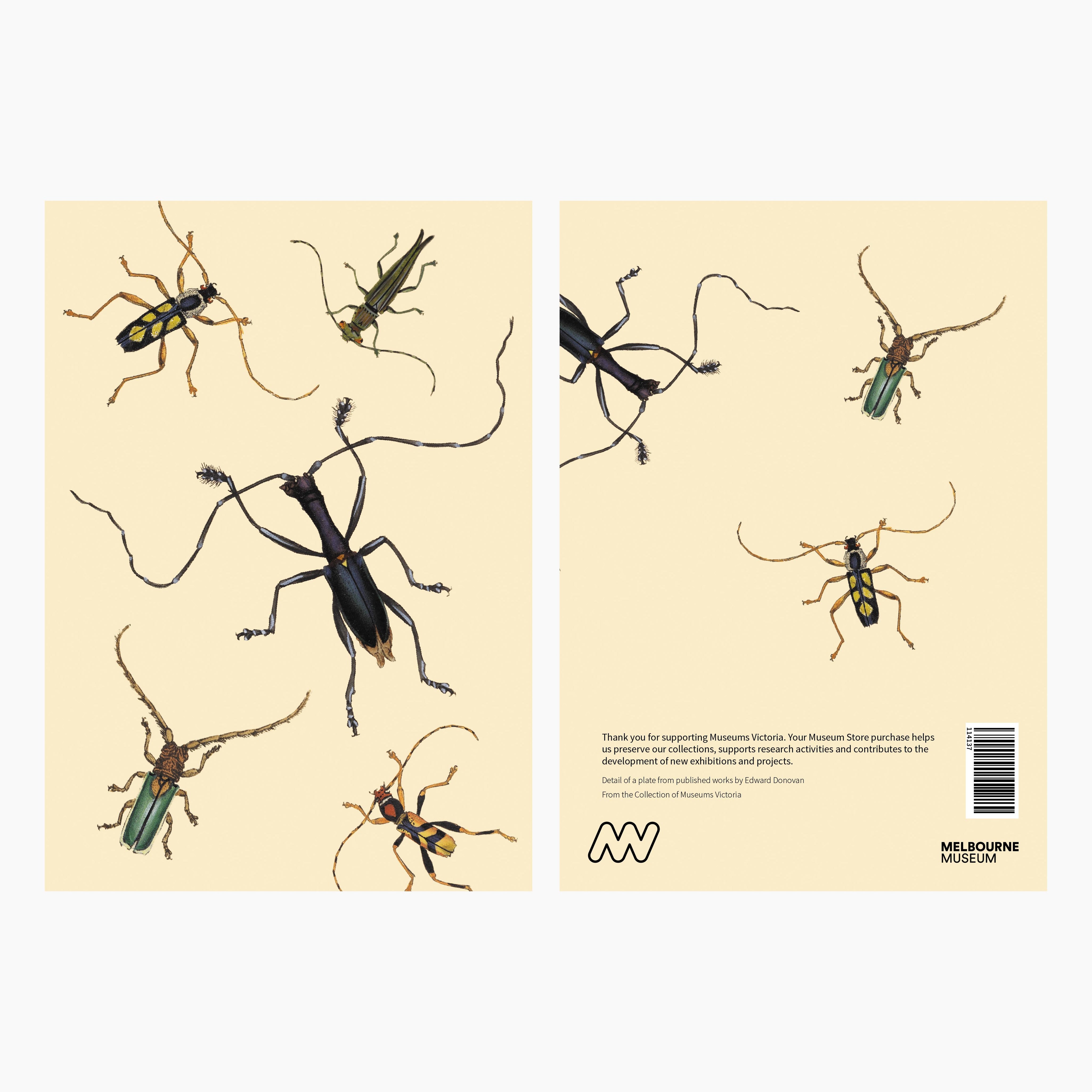 Melbourne Museum Greeting Card