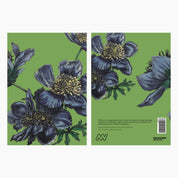 Melbourne Museum Greeting Card