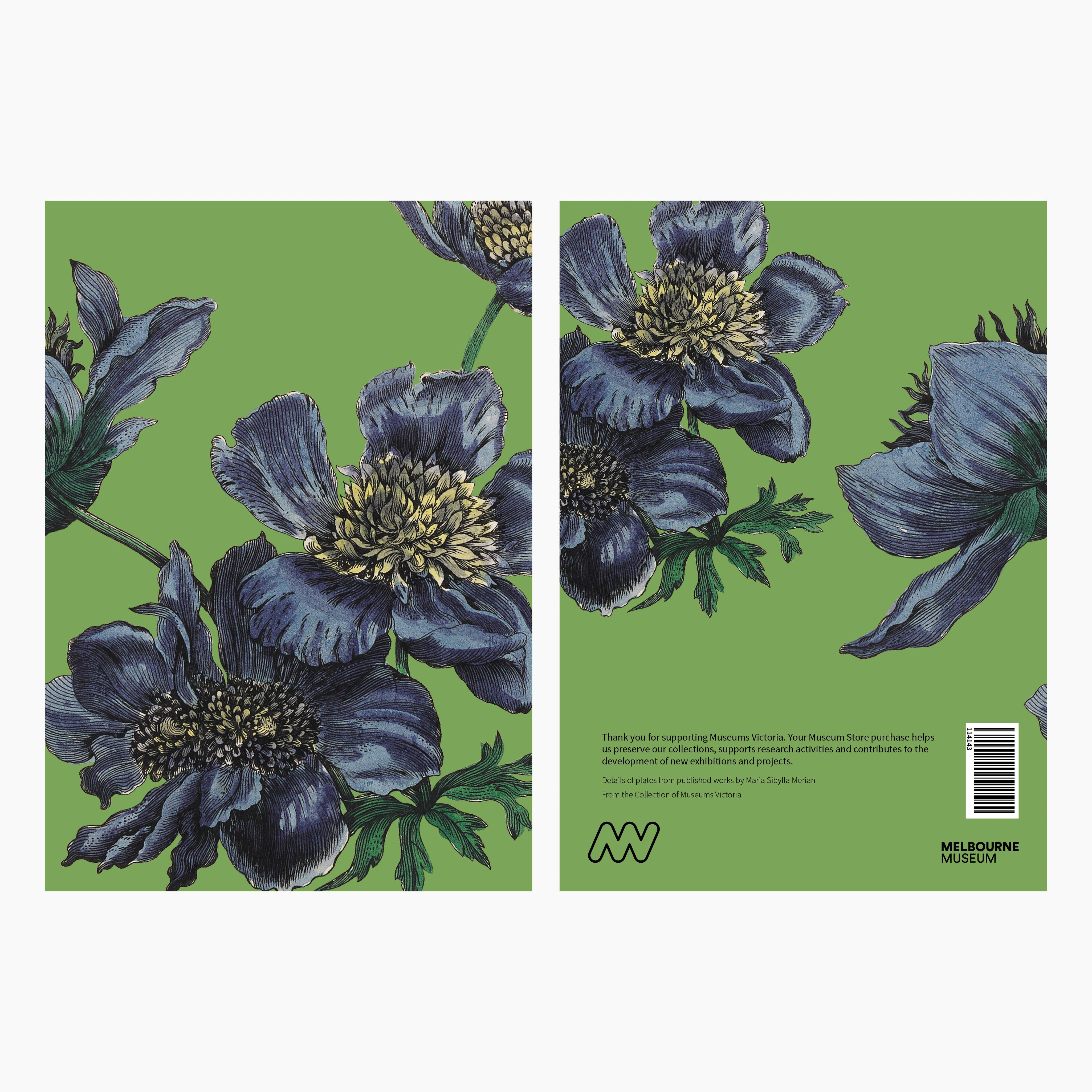 Melbourne Museum Greeting Card