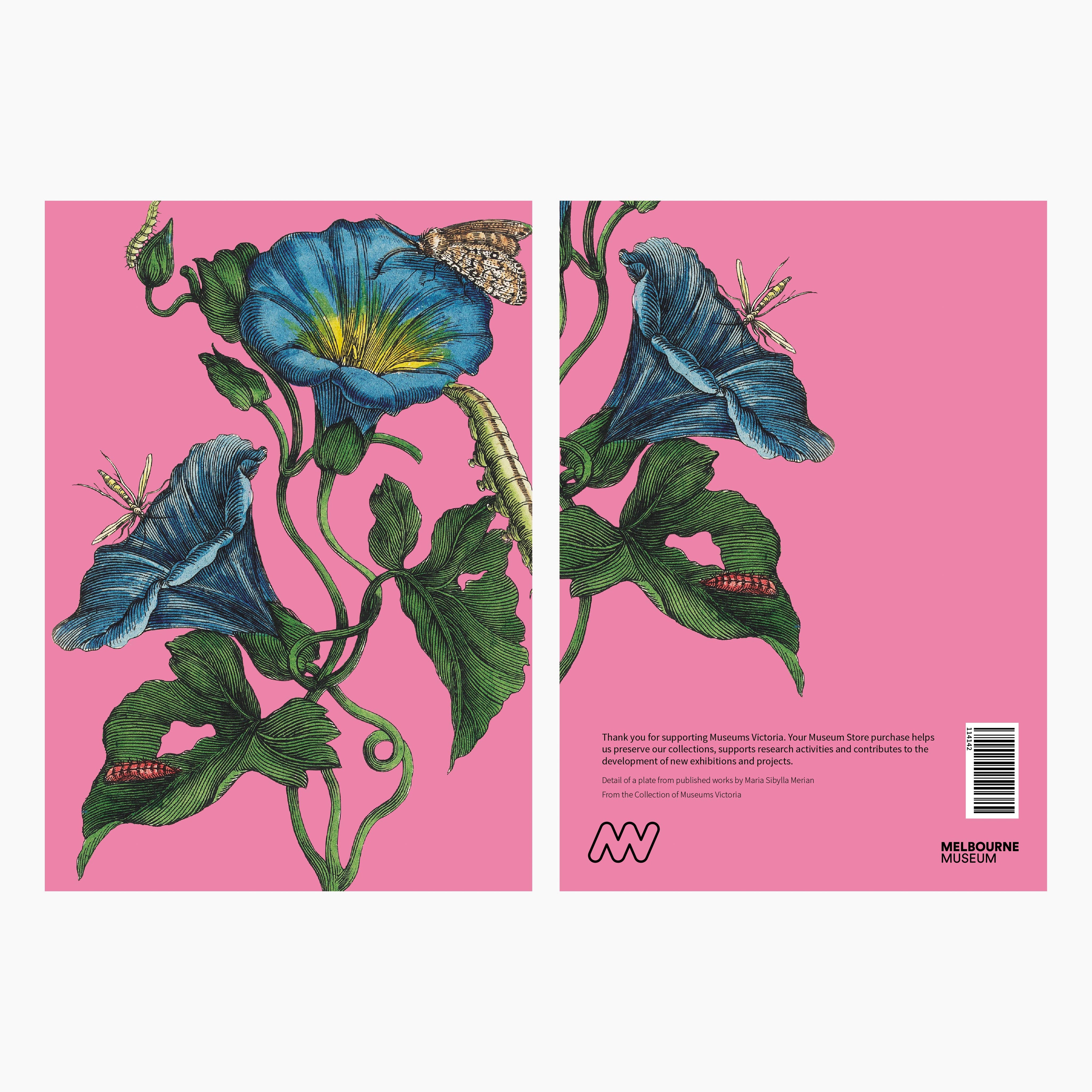 Melbourne Museum Greeting Card