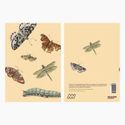 Melbourne Museum Greeting Card
