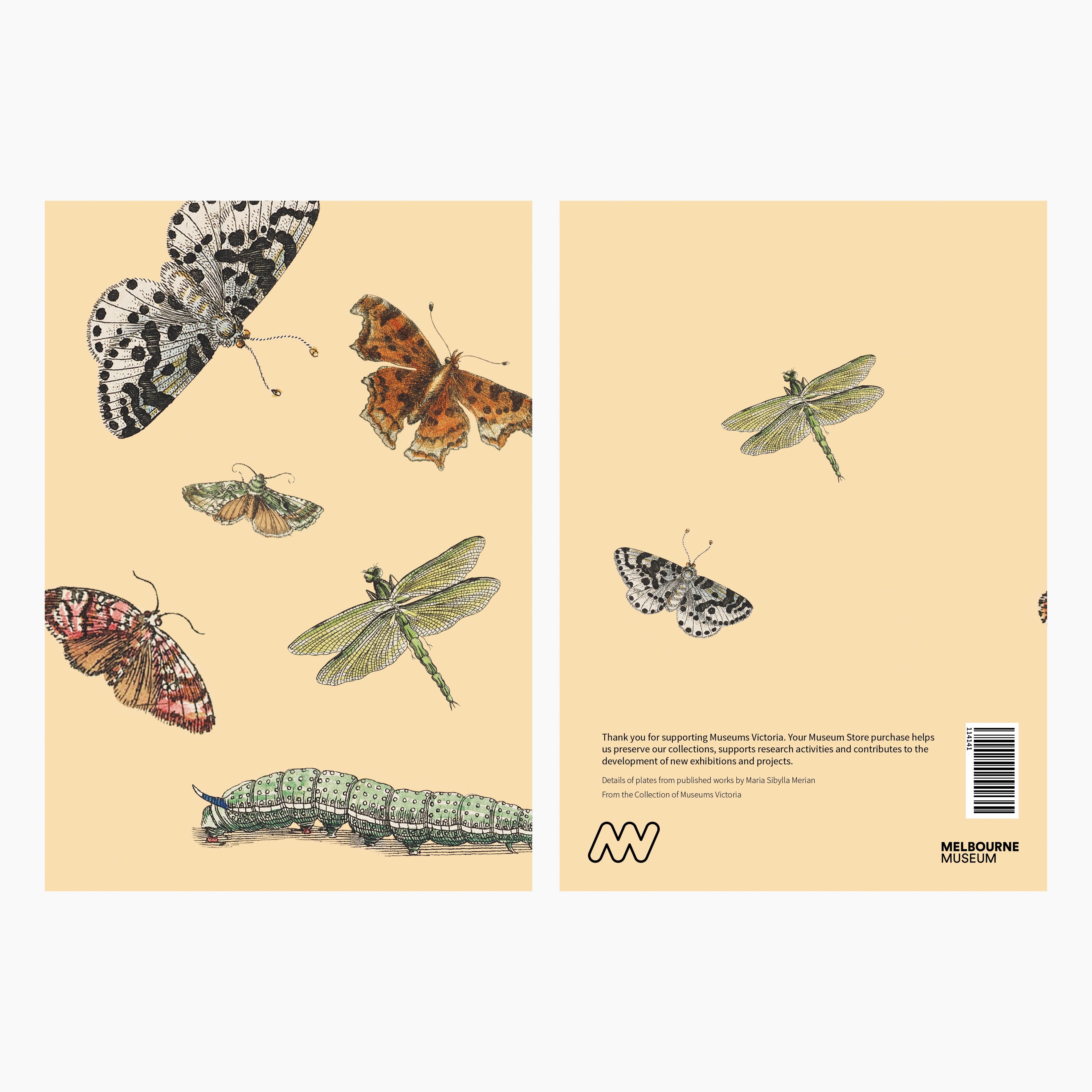 Melbourne Museum Greeting Card