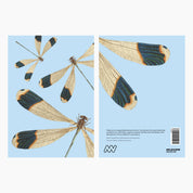 Melbourne Museum Greeting Card