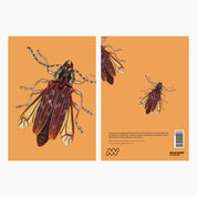 Melbourne Museum Greeting Card