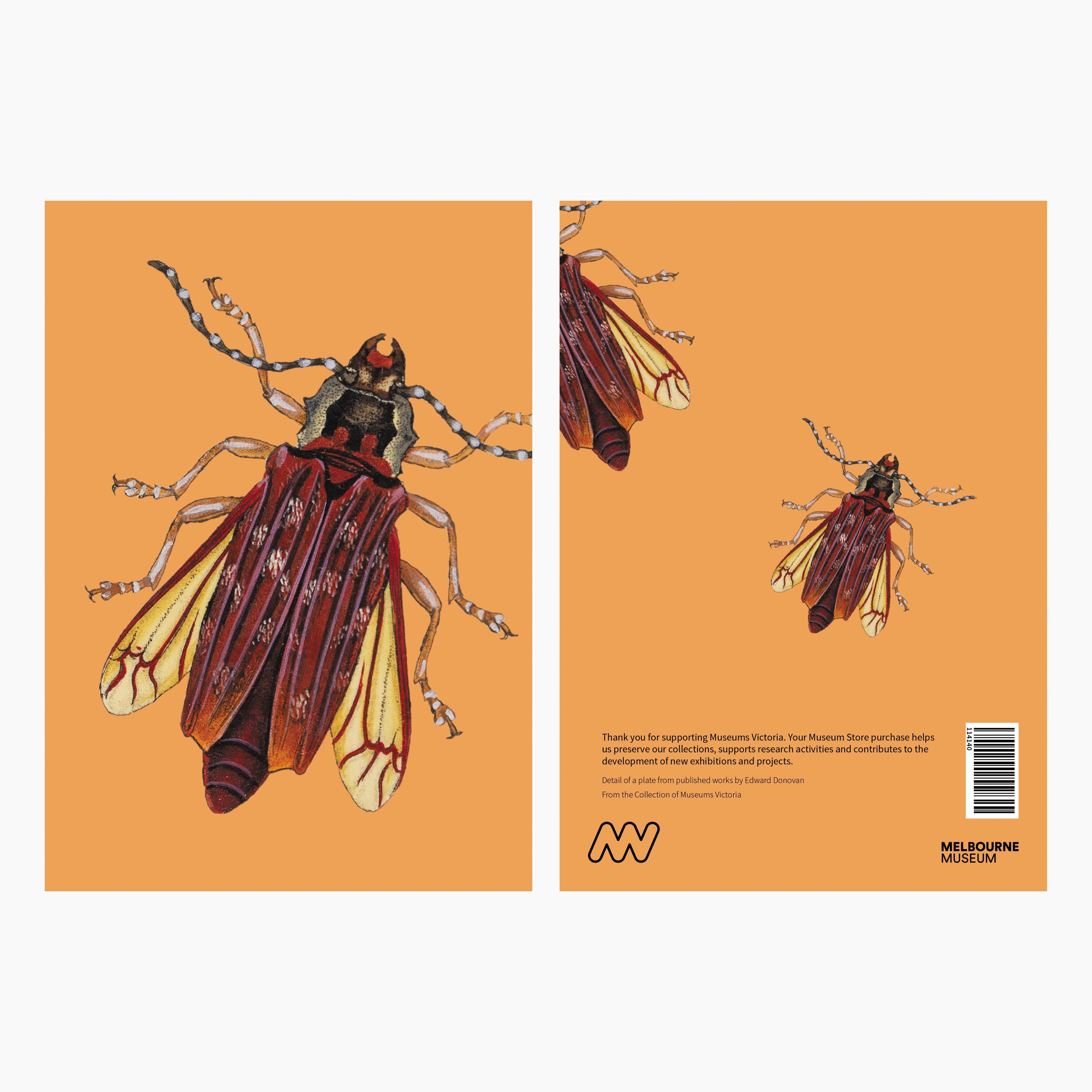 Melbourne Museum Greeting Card