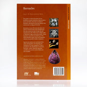 Barnacles