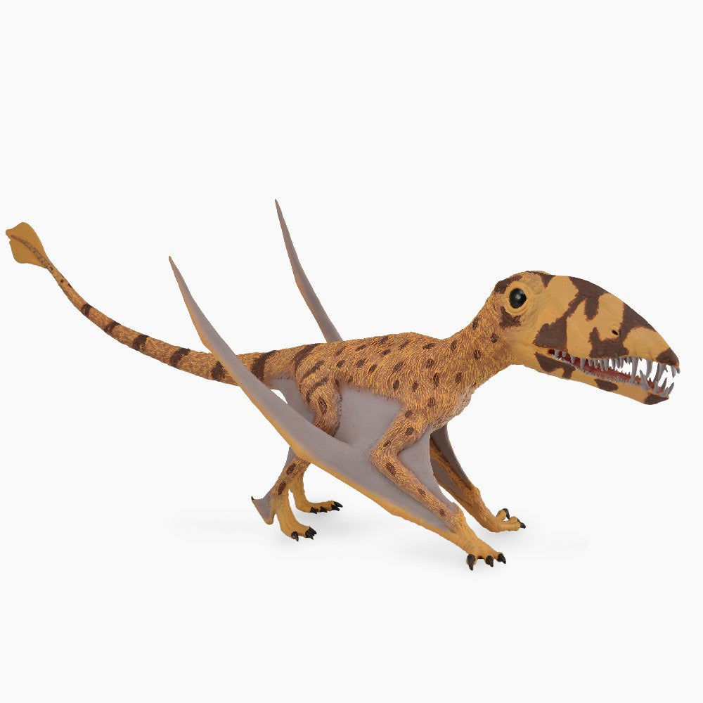 Deluxe Dimorphodon Replica
