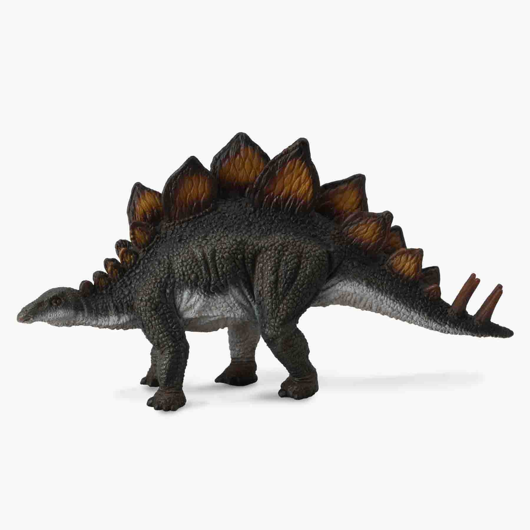 Stegosaurus Replica