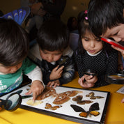 Donate a Museums Victoria Membership - Household