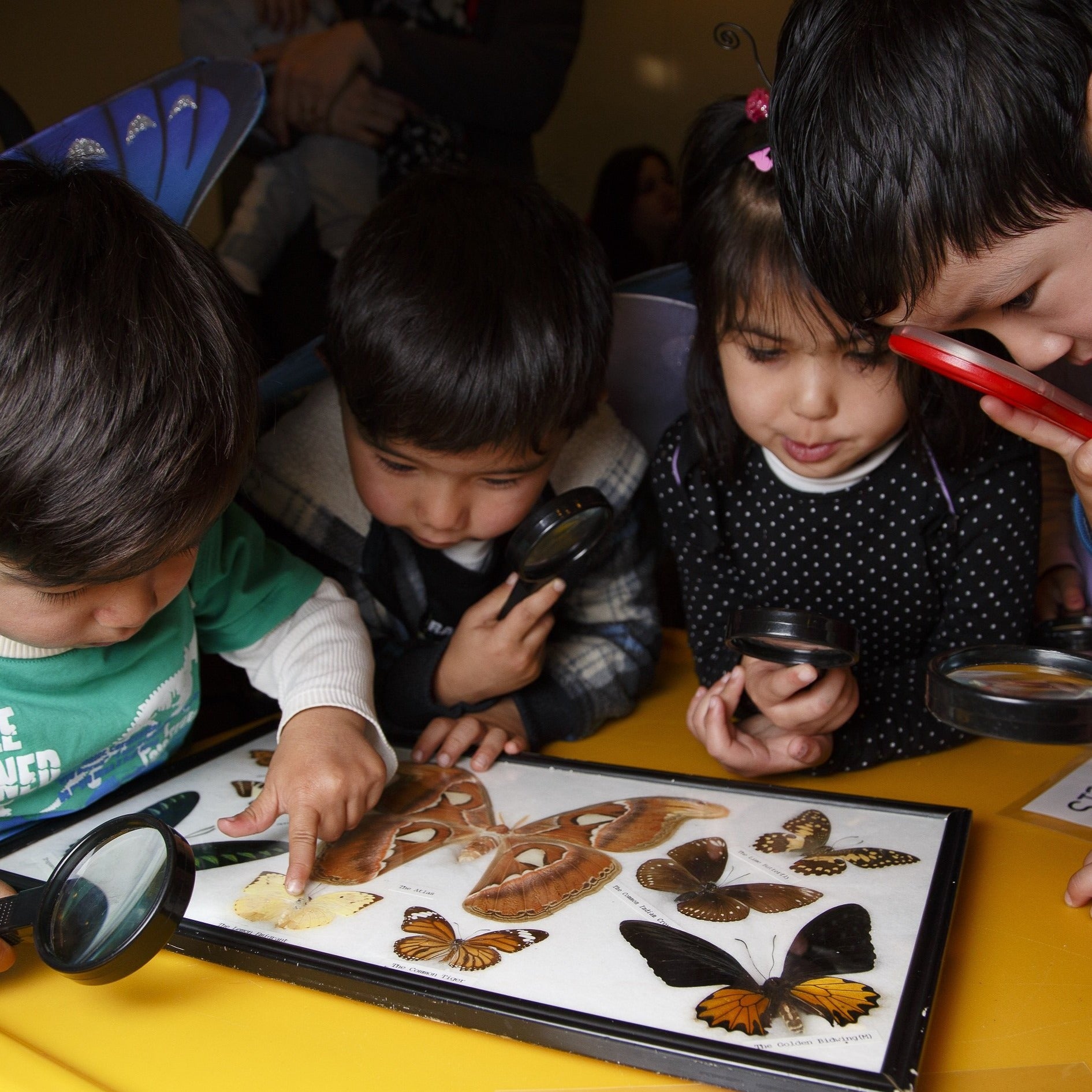 Donate a Museums Victoria Membership - Household