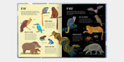 Deep: Delve into Hidden Worlds