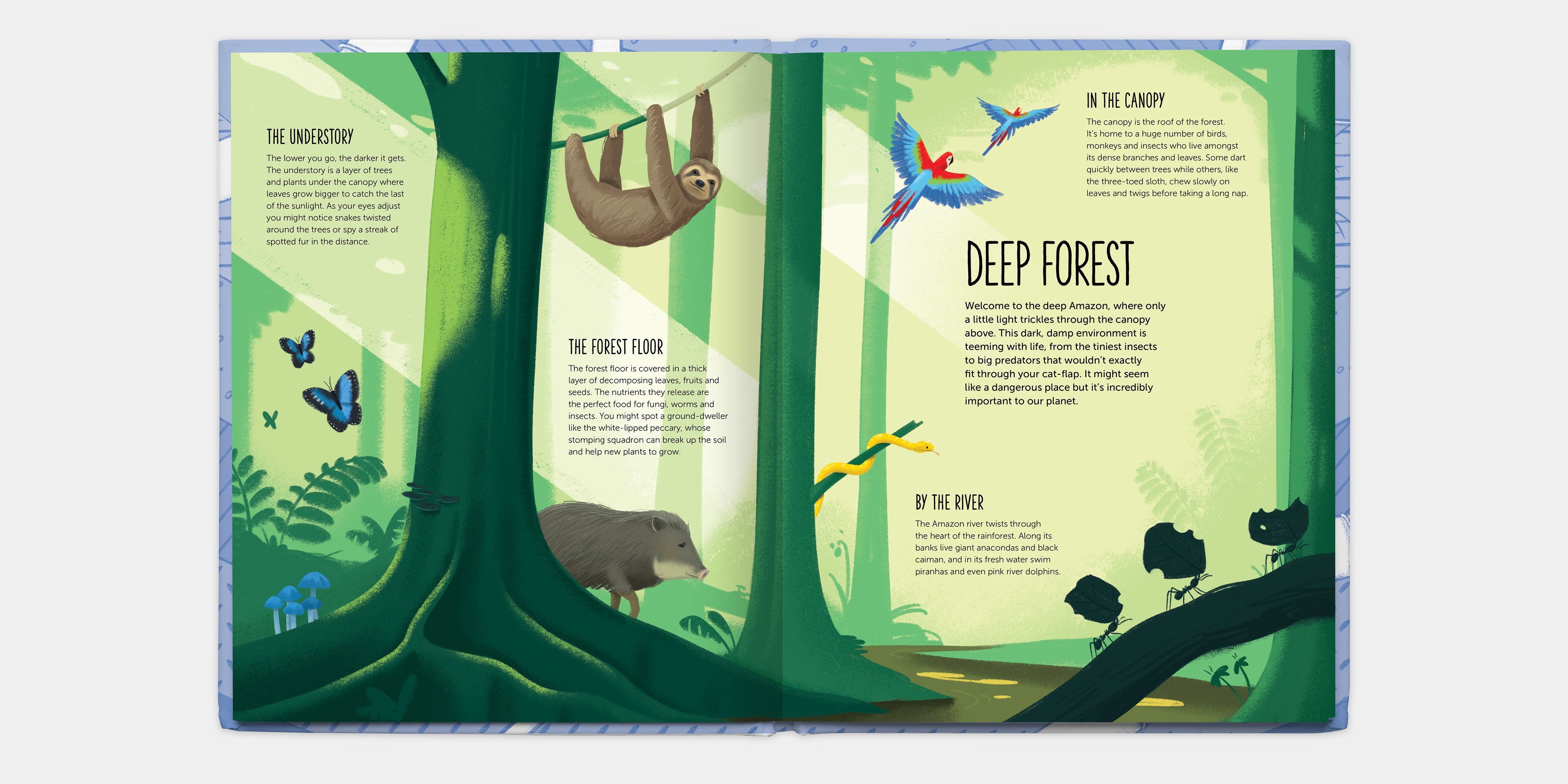 Deep: Delve into Hidden Worlds