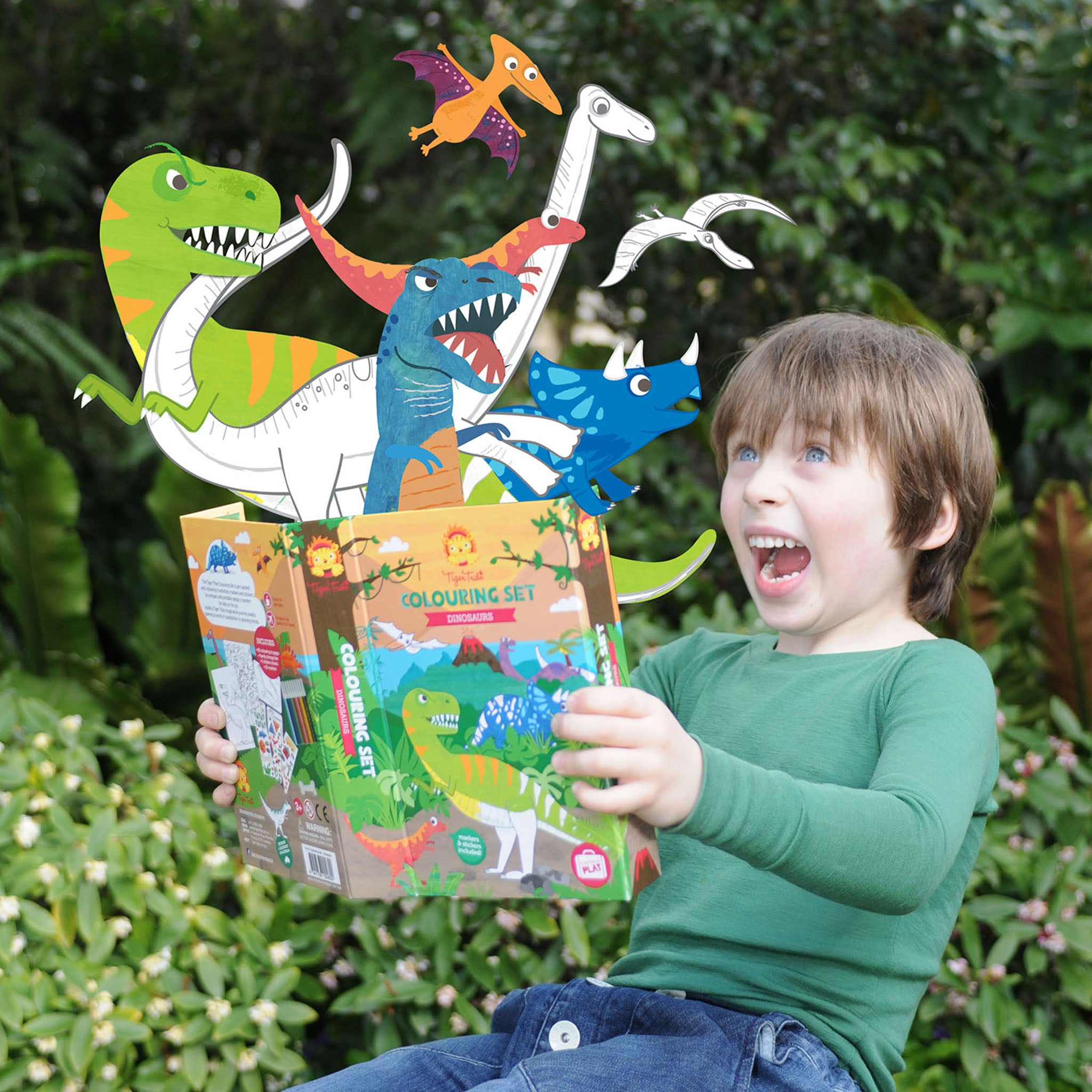 Dinosaur Colouring Set