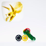 Dinosaur Torch Projector