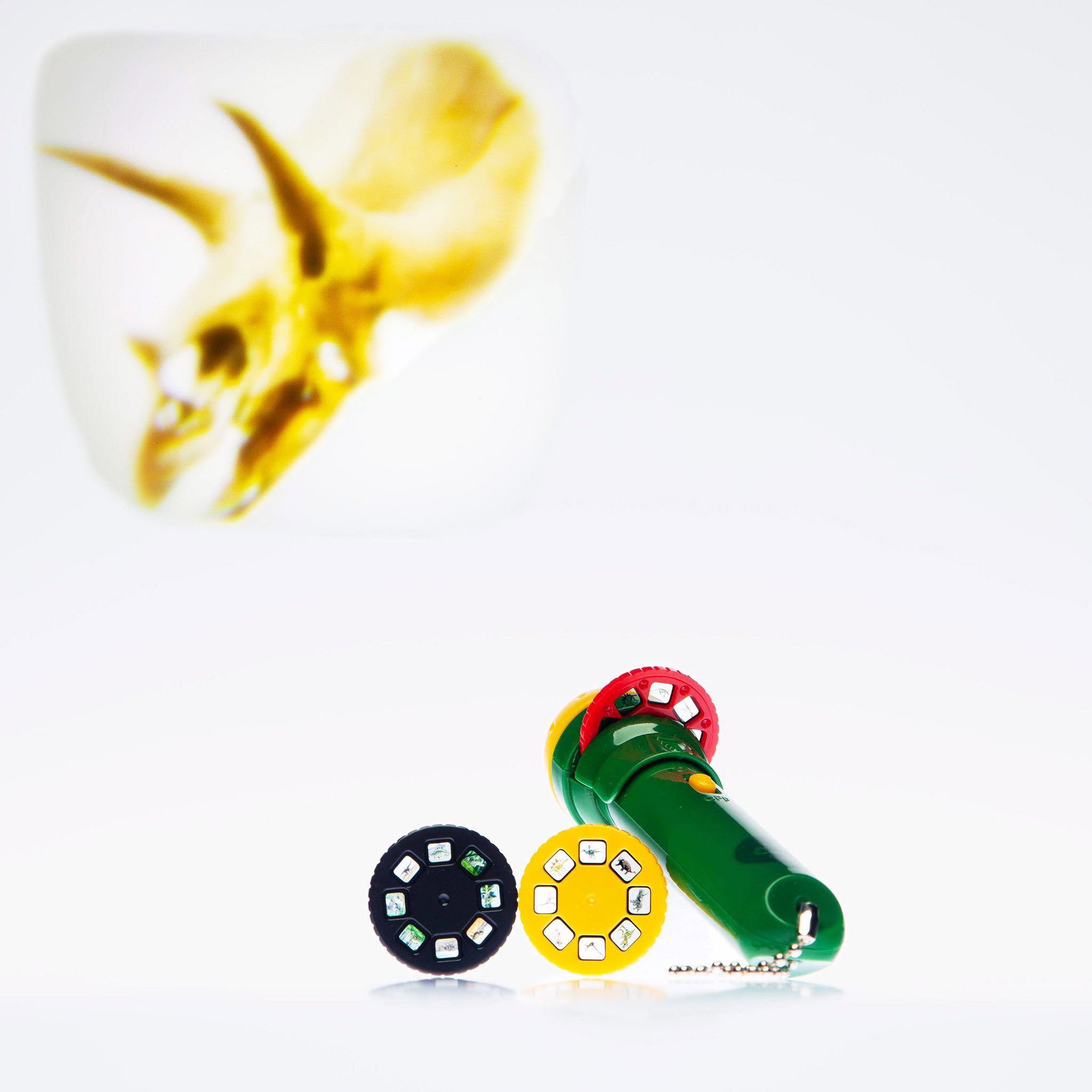 Dinosaur Torch Projector