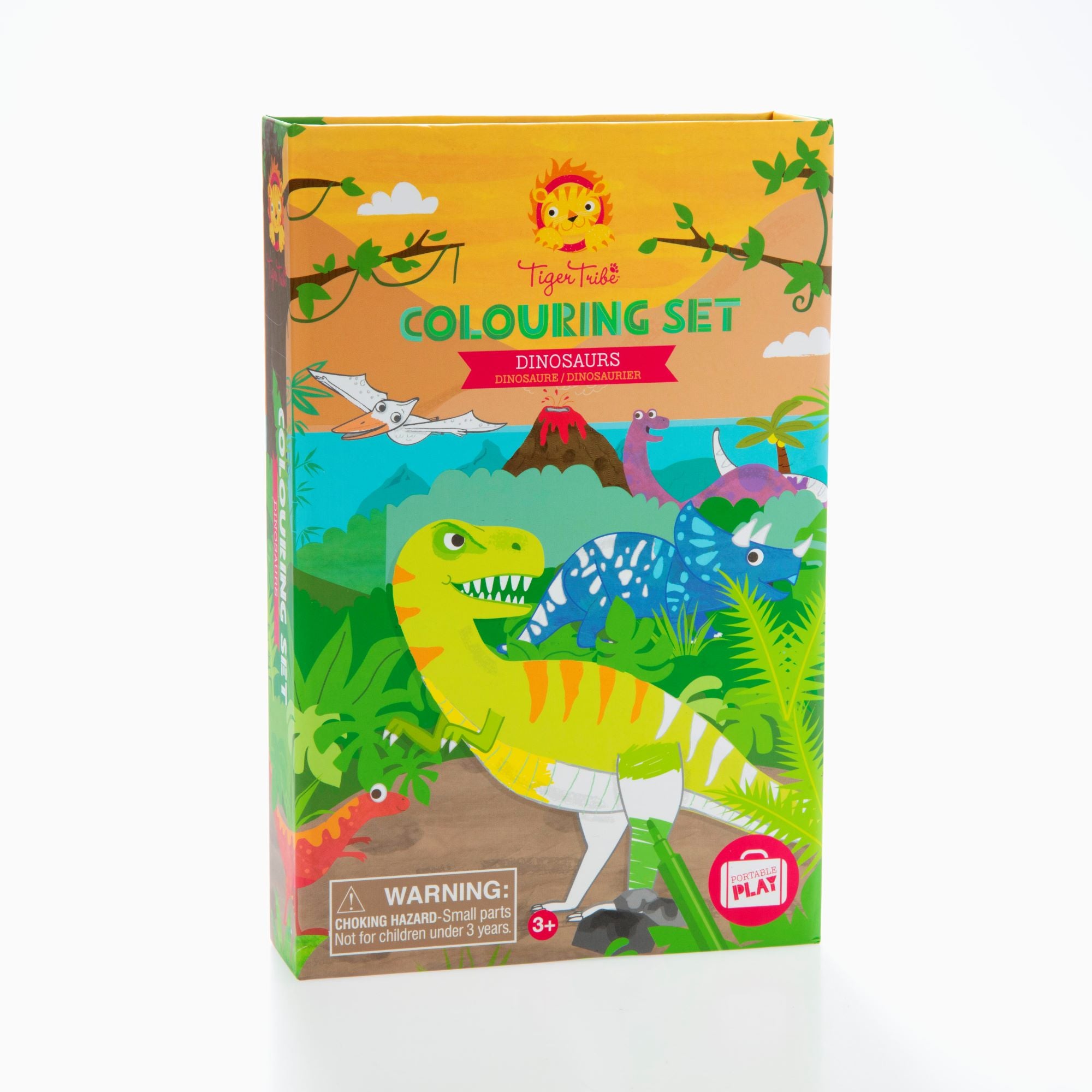 Dinosaur Colouring Set
