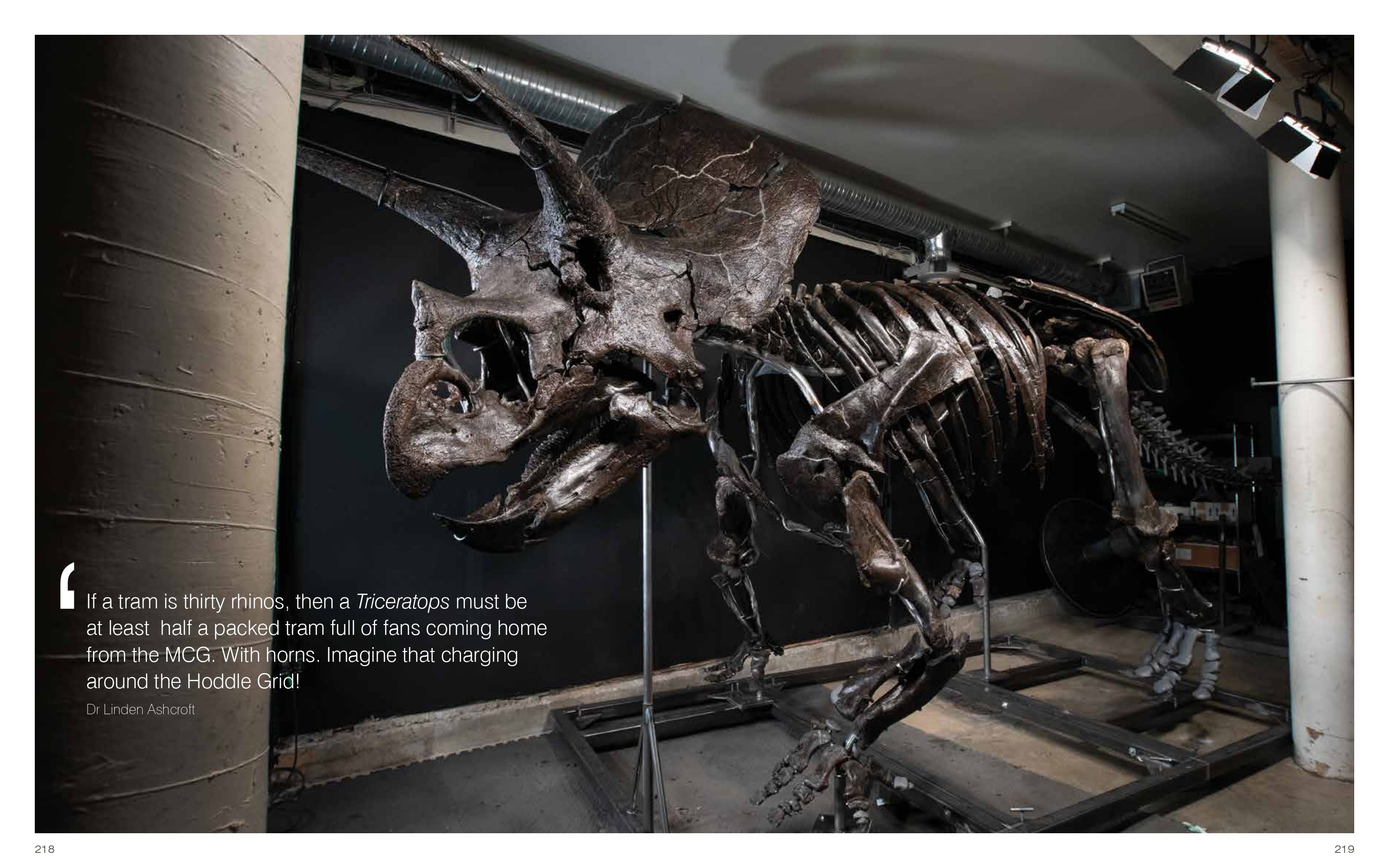 Horridus: Journey of a Triceratops