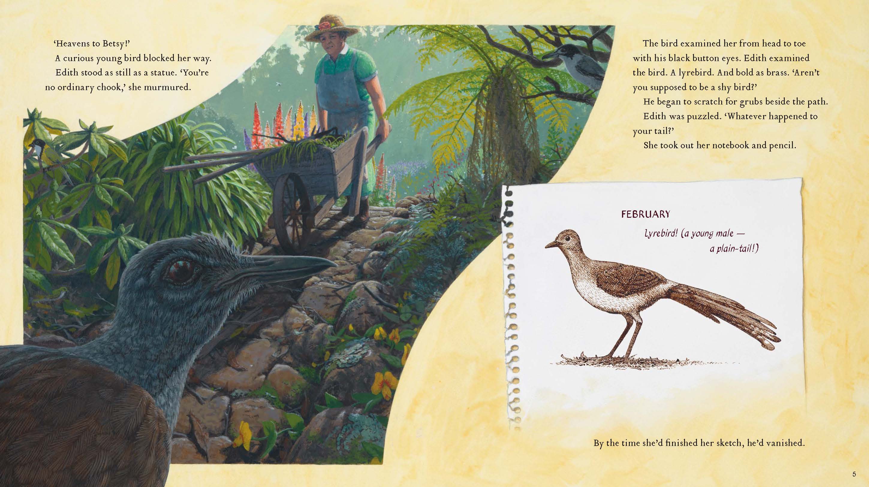 Lyrebird: A True Story