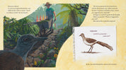 Lyrebird: A True Story