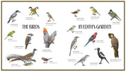 Lyrebird: A True Story
