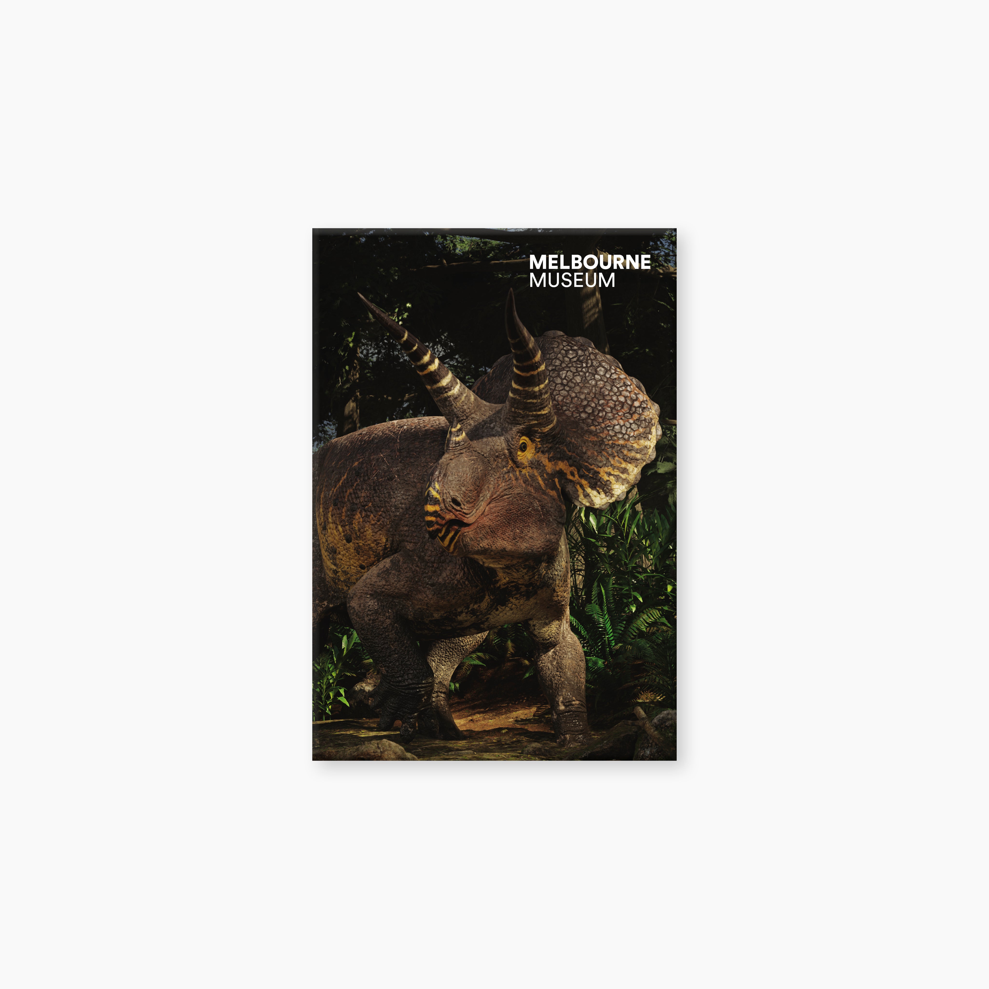 Melbourne Museum Triceratops Exhibition Magnets