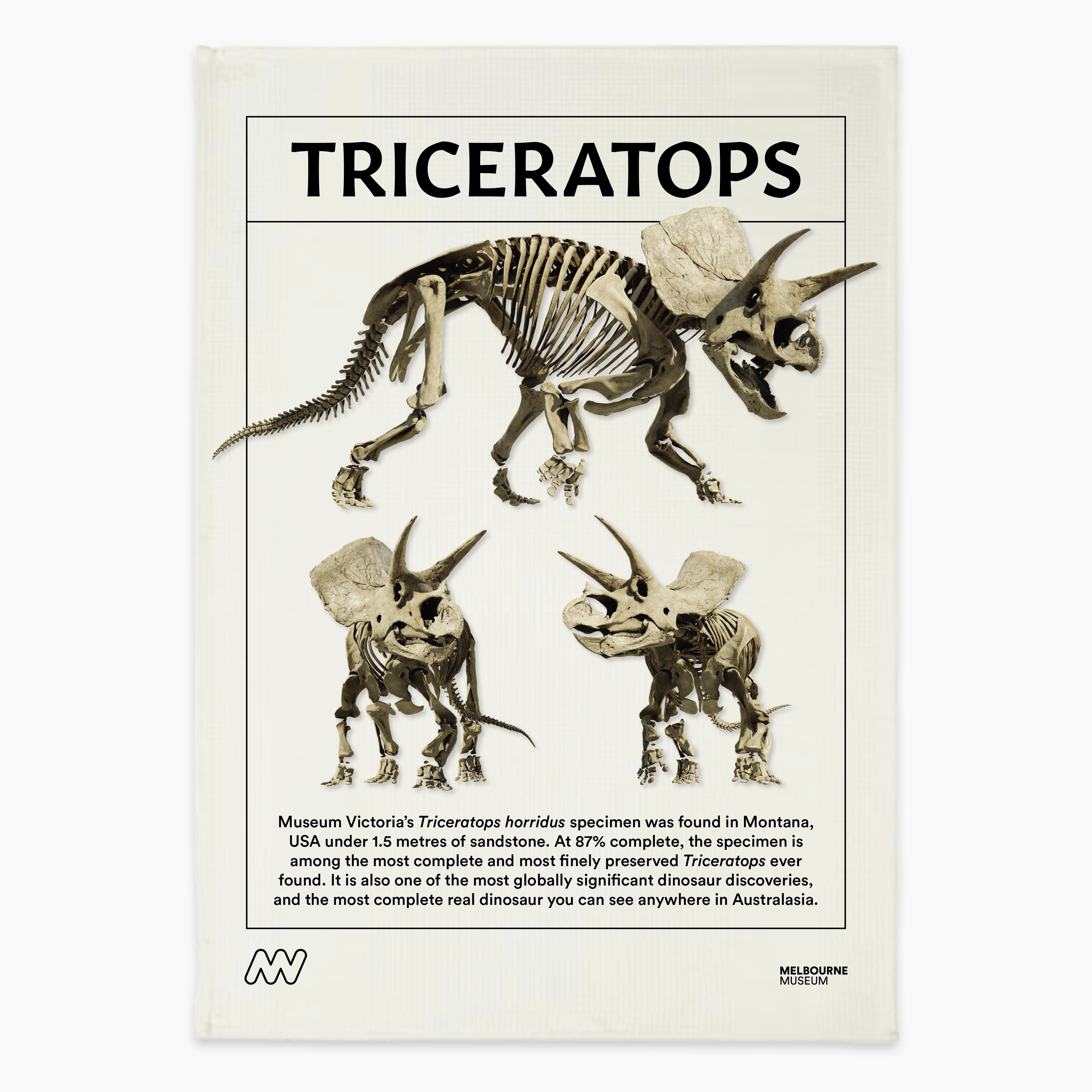 Melbourne Museum Triceratops Tea Towel