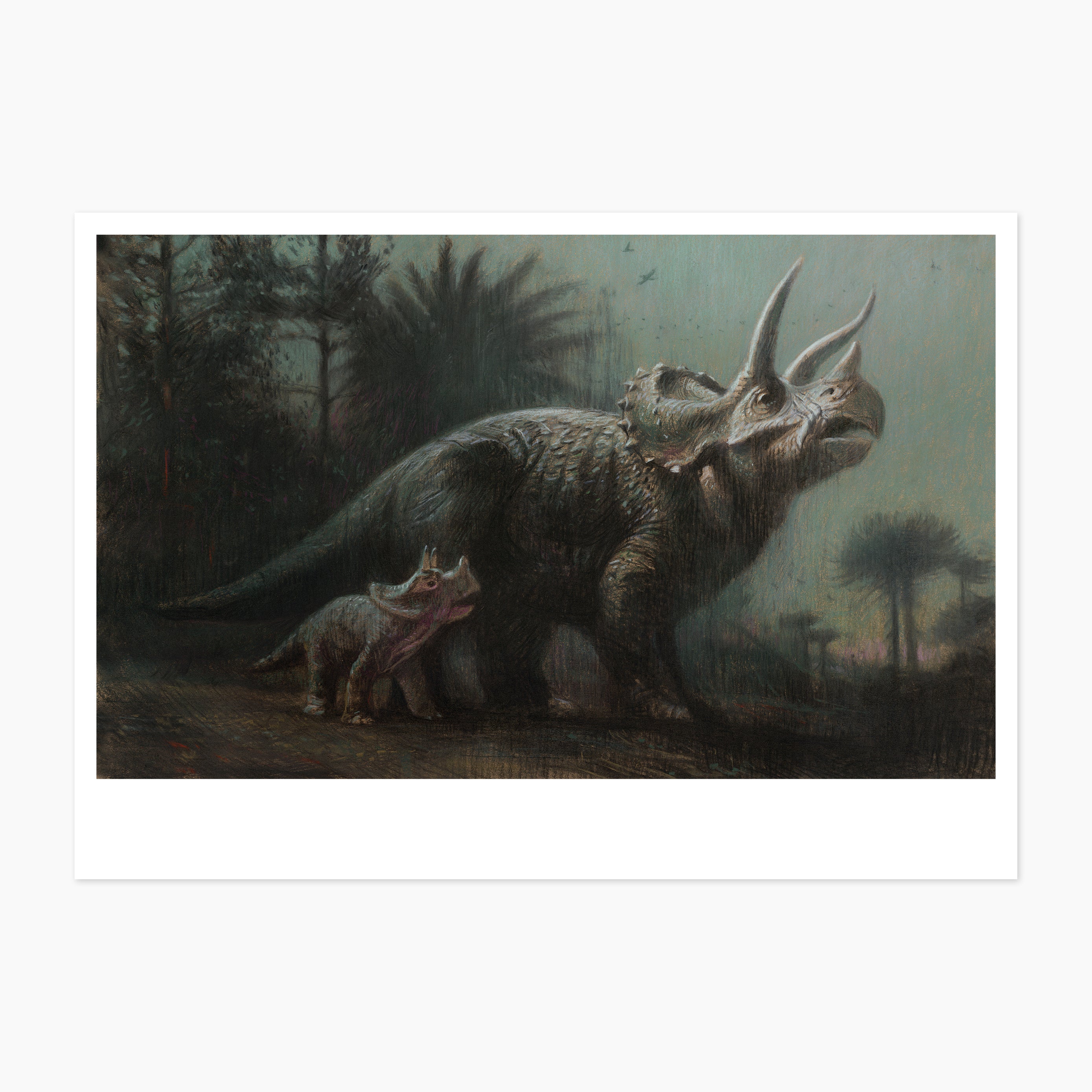 Shaun Tan Limited Edition Print